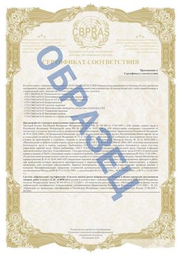 Образец Приложение к СТО 01.064.00220722.2-2020 Обнинск Сертификат СТО 01.064.00220722.2-2020 